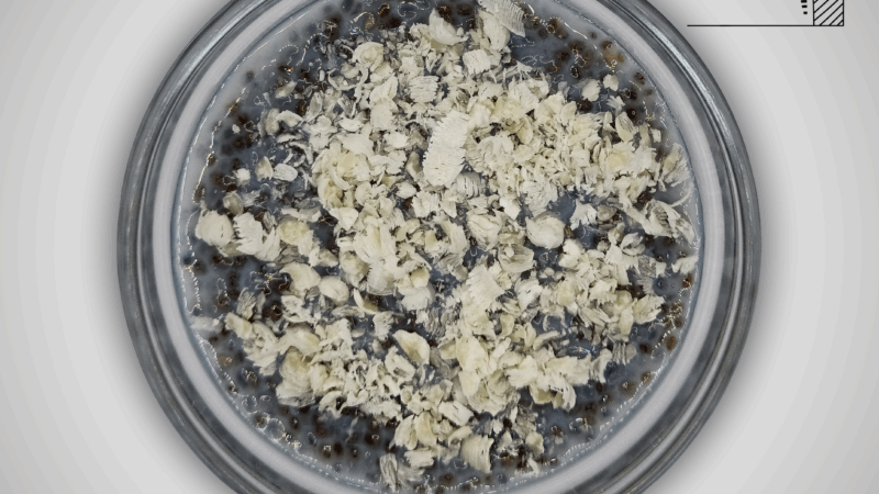 White Choc Chia Maria Pudding by Better Than Bread
